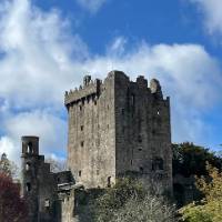 Stone castle with flowers in foreground